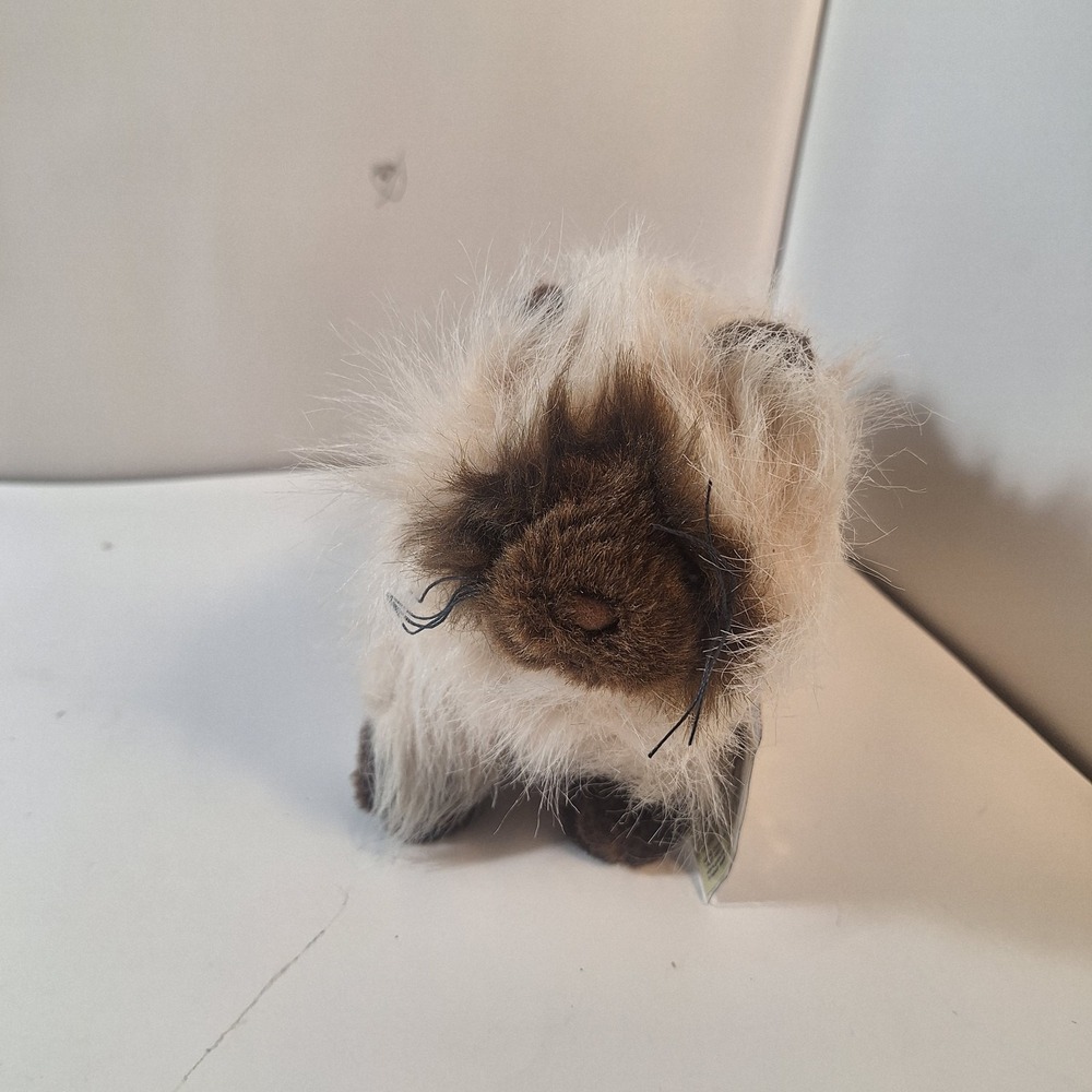 Ganz Himalayan Cat‎ Plush Stuffed Animal Brown White Cute 10" Webkinz No Code